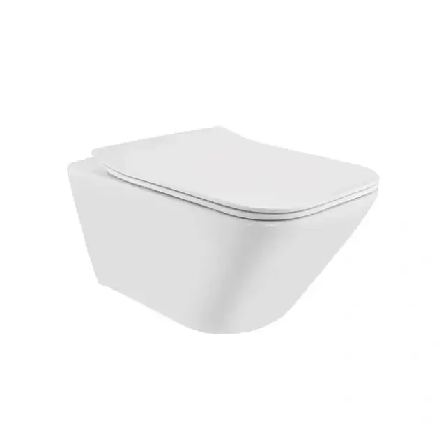 Jaquar Rimless Blind Installation Wall Hung WC, Laguna, LAS-WHT-91953BIUFSM
