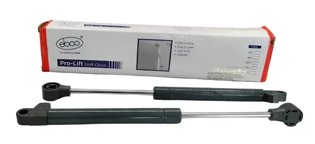 Ebco Pro Lift Cabinet Gas Pump, 1 Set (2 Nos)